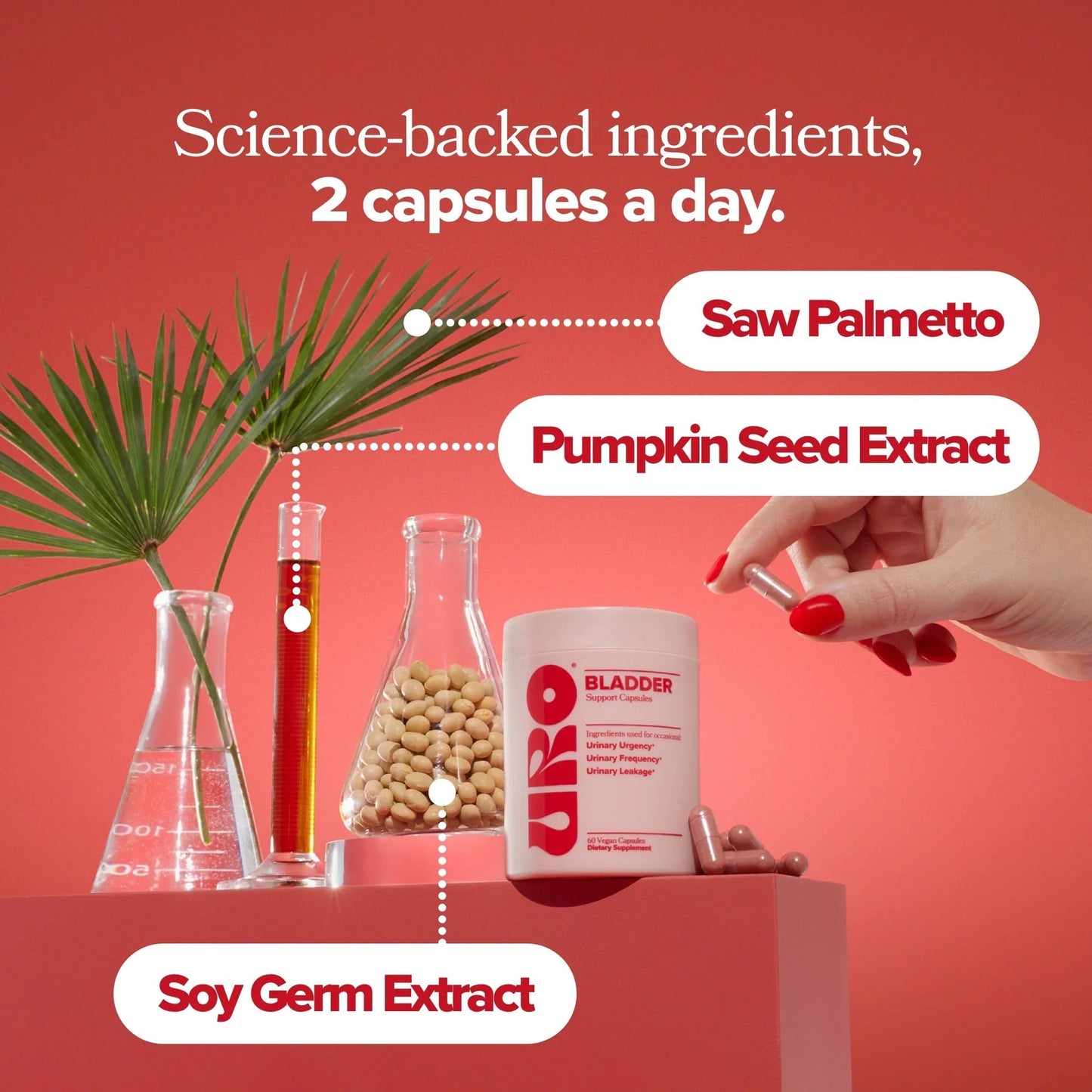 Daily Bladder Balance Capsules